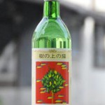 嘉美心　樹の上の猫